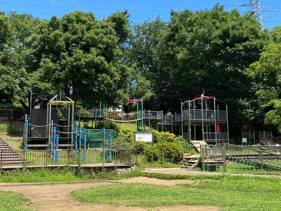 🌳 키시네 공원 (기시네코엔) 이미지 4